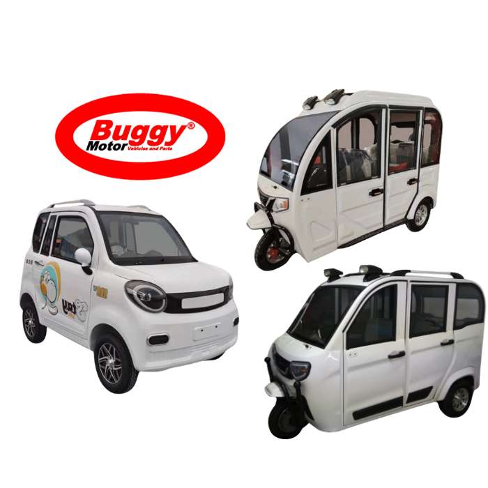 Productos electricos Buggy Motor